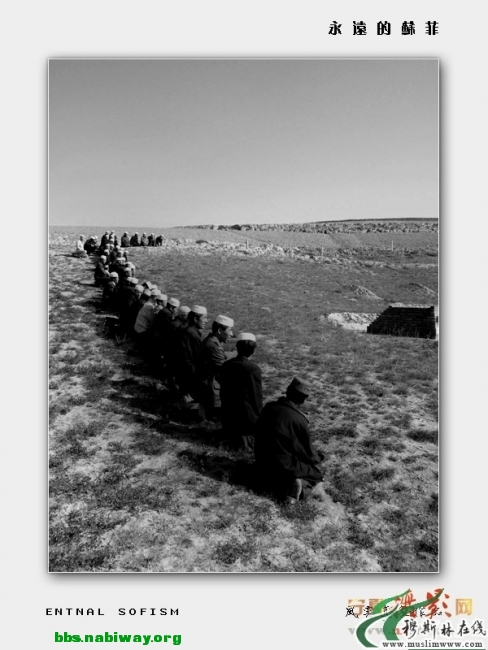 20100327035849874.jpg