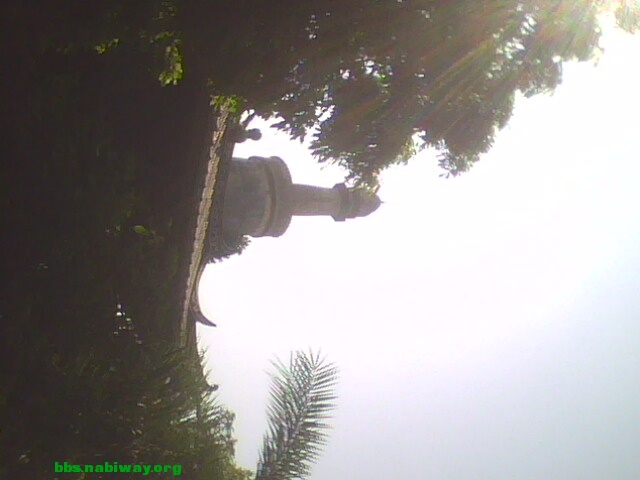 IMG0684A.jpg