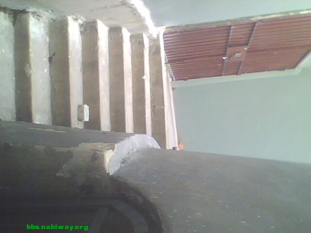IMG0709A.jpg
