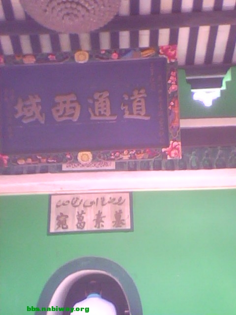 IMG0615A.jpg