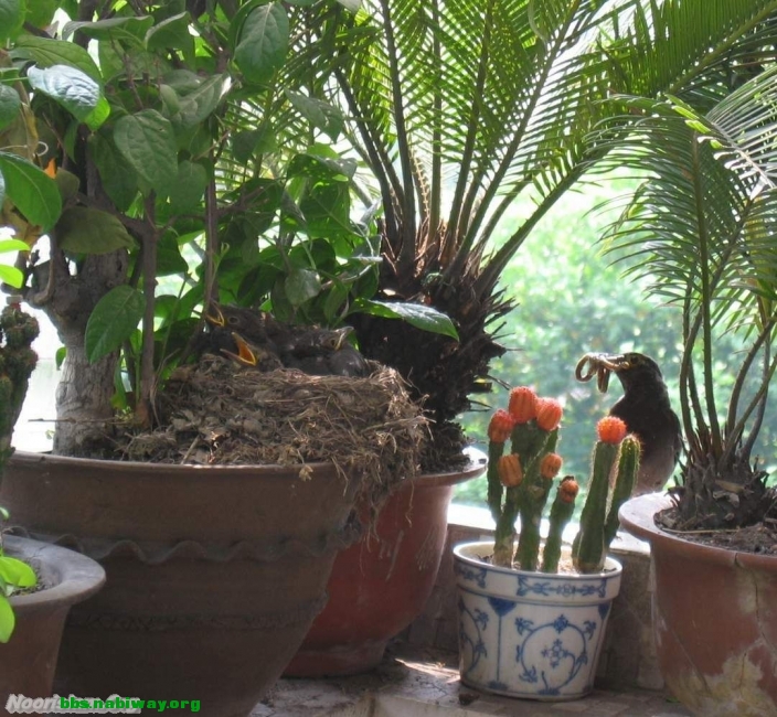 1005051204076c3f3eac0d40a9.jpg