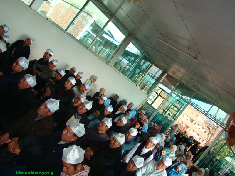 DSC00317.JPG