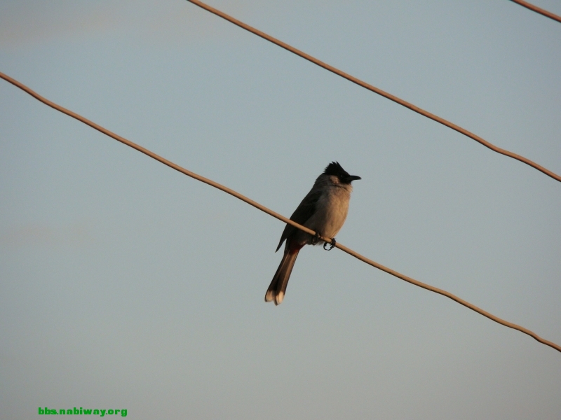 DSC00334.JPG