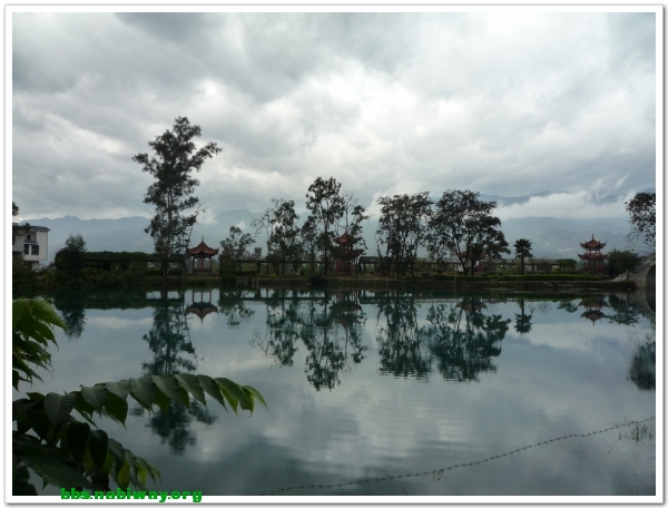 px03[1].jpg.thumb.jpg