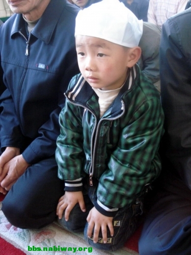 DSC05518[1].jpg.thumb.jpg