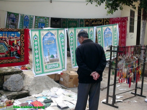 DSC00309[1].jpg.thumb.jpg