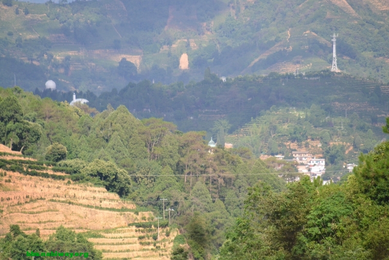 DSC_1809.JPG