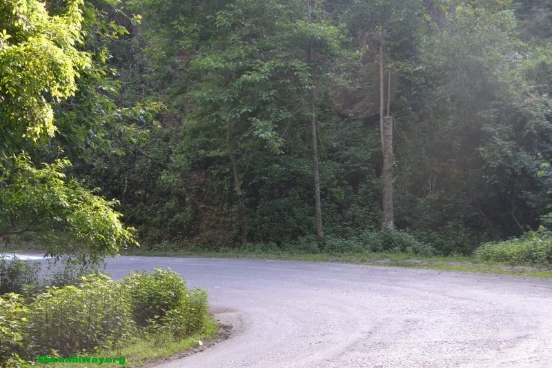 DSC_1801.JPG