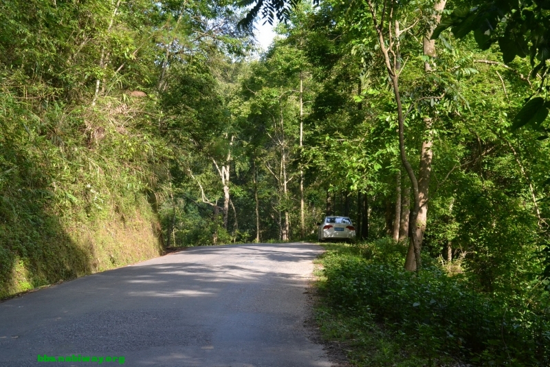 DSC_1803.JPG