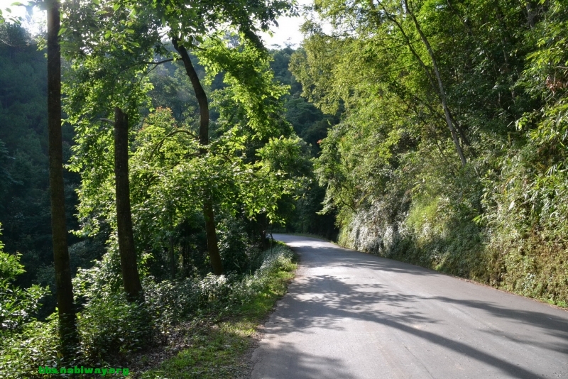 DSC_1797.JPG