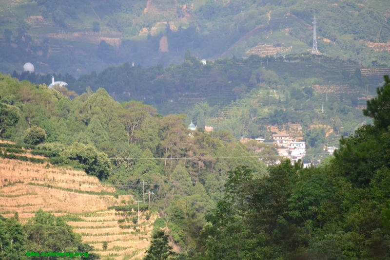 DSC_1807.JPG