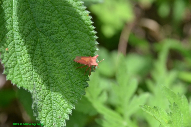 DSC_1772.JPG