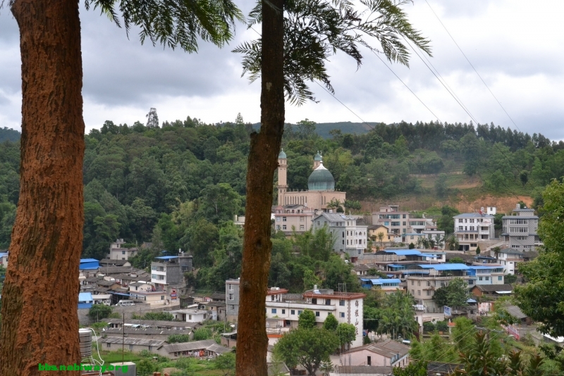 DSC_1735.JPG