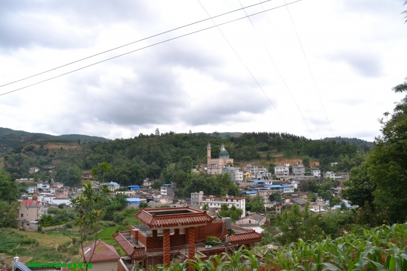 DSC_1718.JPG