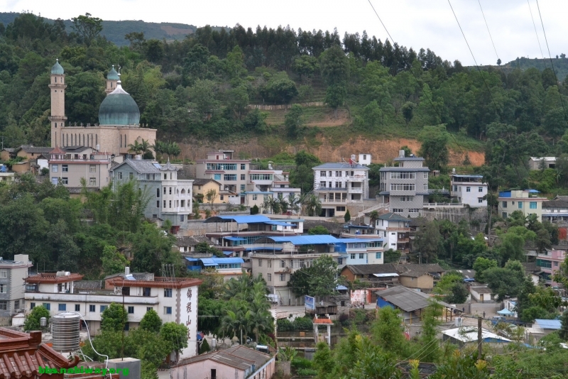 DSC_1721.JPG