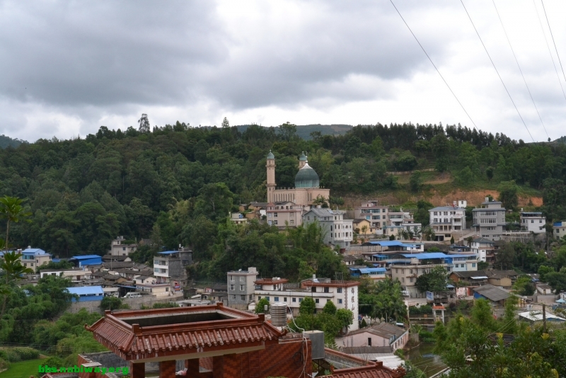 DSC_1717.JPG