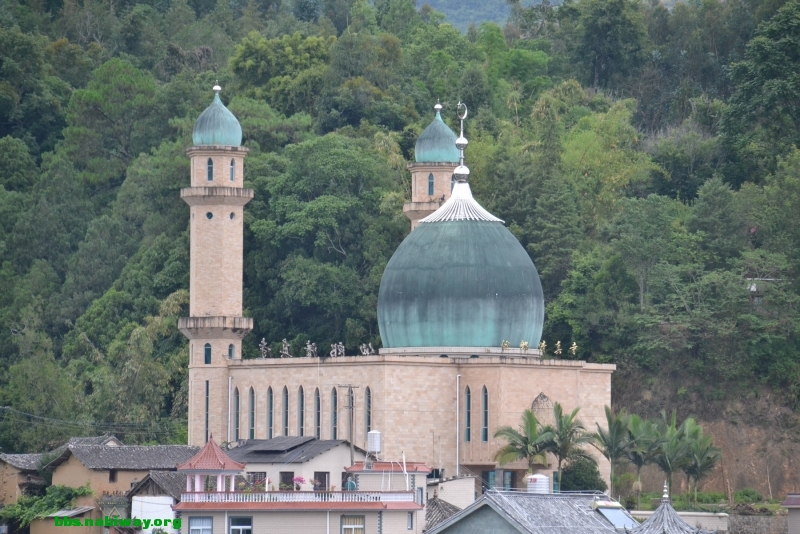 DSC_1716.JPG