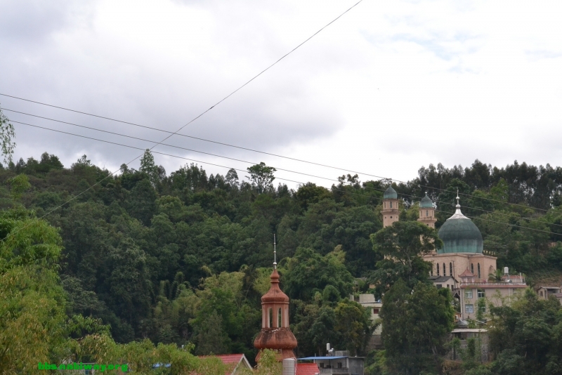DSC_1713.JPG