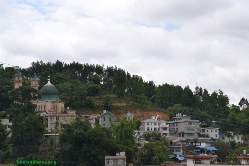 DSC_1714.JPG