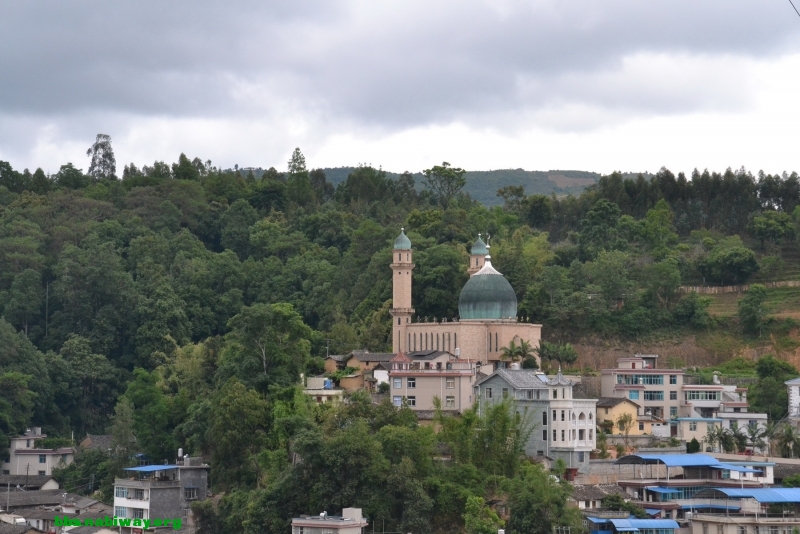 DSC_1715.JPG