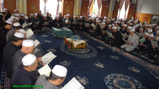 psuCAN85HD0.jpg